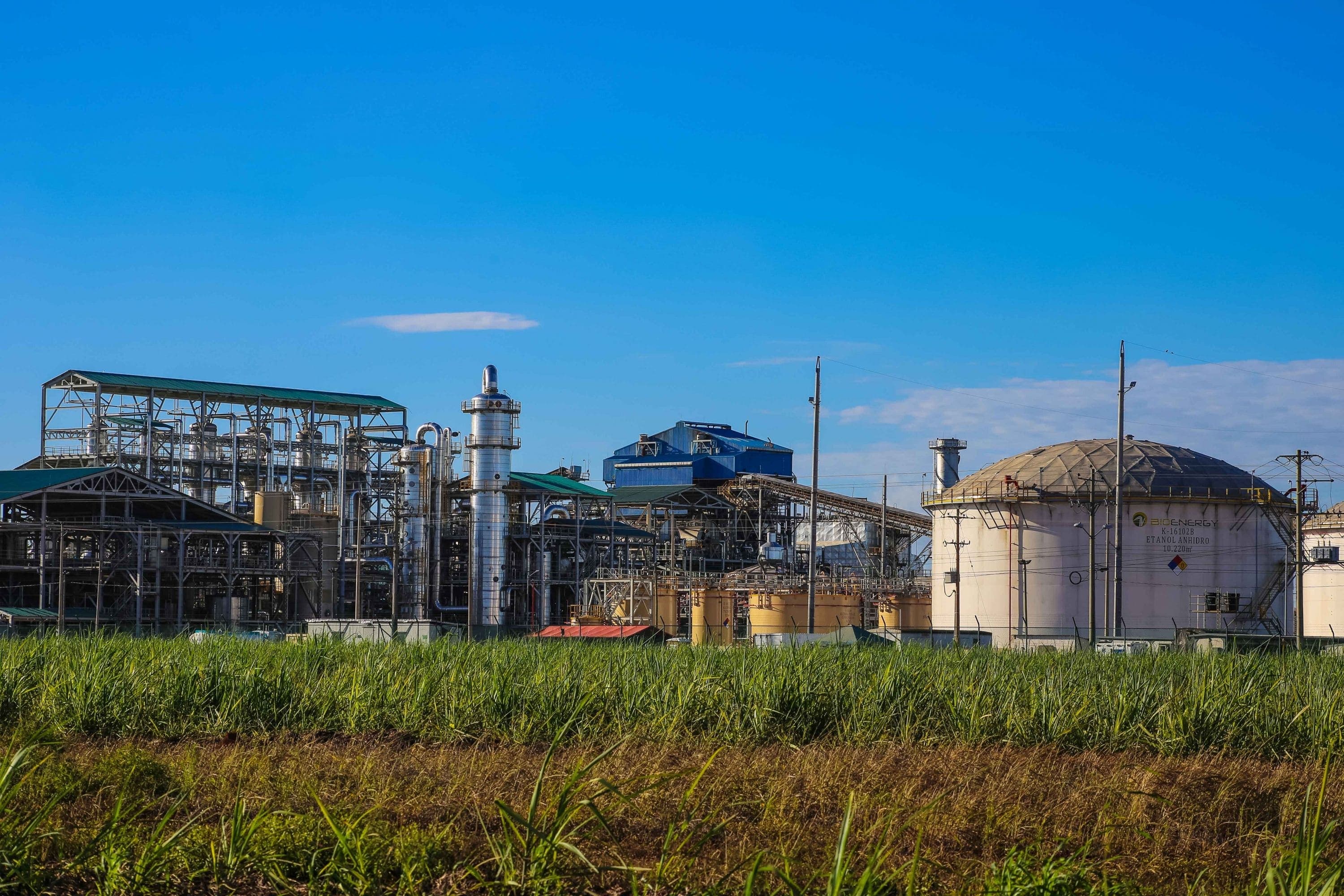 Bioenergy